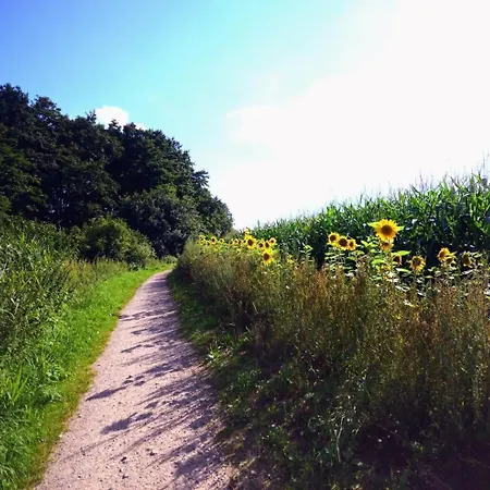 Feldblick Auf Dem Bauernhof Am Schweriner * Bad Kleinen